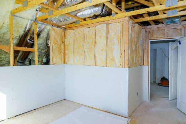 Best Geographic-Specific Insulation Services in Aransas Pass, TX