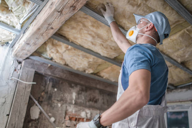 Best Fiberglass Insulation in Aransas Pass, TX